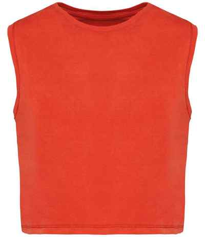 Native Spirit Ladies Cropped Tank Top