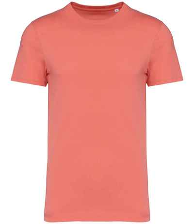 Native Spirit Unisex Heavyweight T-Shirt