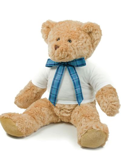 Mumbles Teddy T Shirt