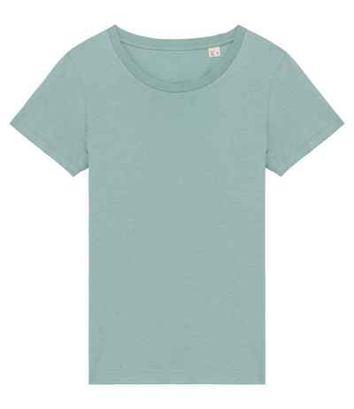 Native Spirit Ladies T-Shirt