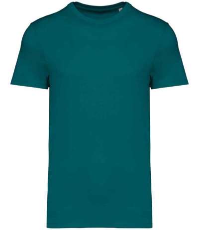 Native Spirit Unisex Heavyweight T Shirt