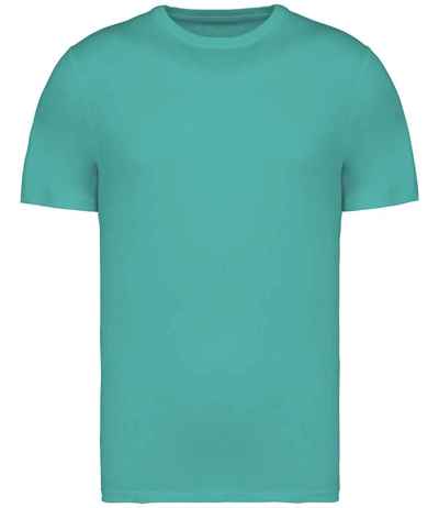 Native Spirit Unisex Heavyweight T-Shirt