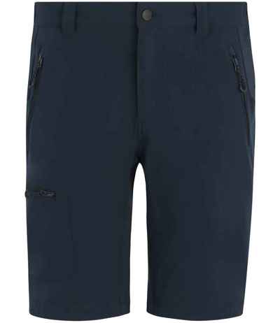 Regatta Prolite Stretch Shorts