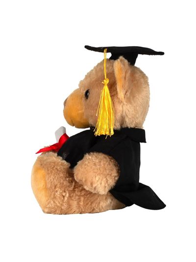 Graduation Bear