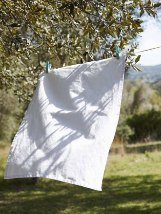 Westford Mill Tea Towel