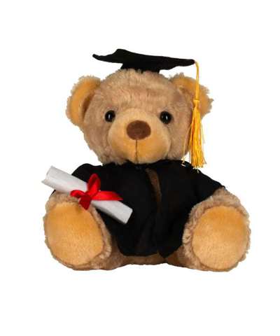 Graduation Bear