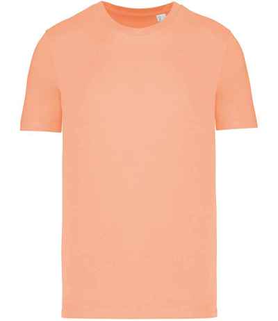 Native Spirit Unisex T-Shirt