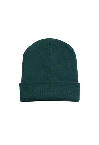Cuffed Beanie