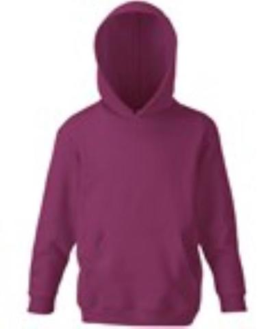 Kids Hooded Sweatshirt