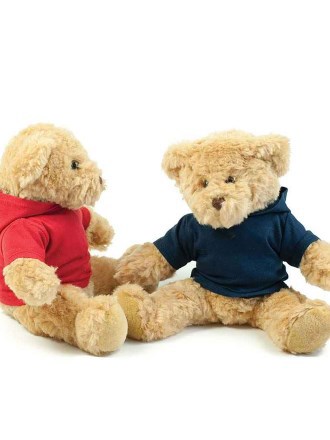 Teddy Hoodie