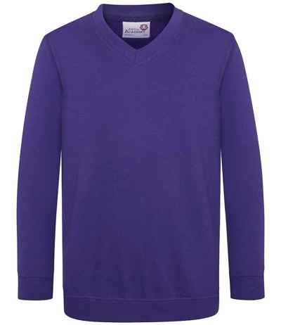 AWDis Academy Kids V Neck Sweatshirt
