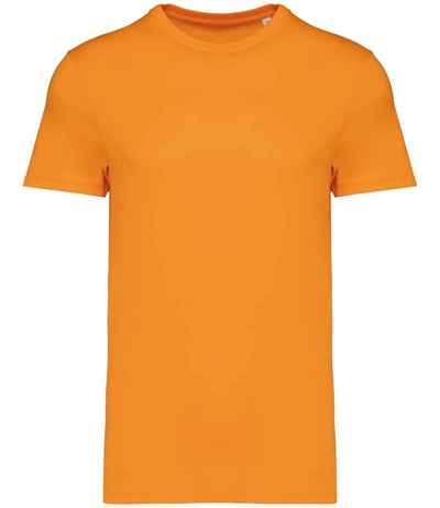 Native Spirit Unisex Heavyweight T-Shirt