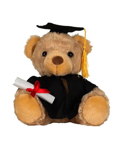 Graduation Bear
